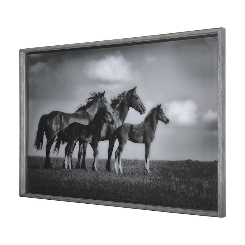 Focused Framed Art Print