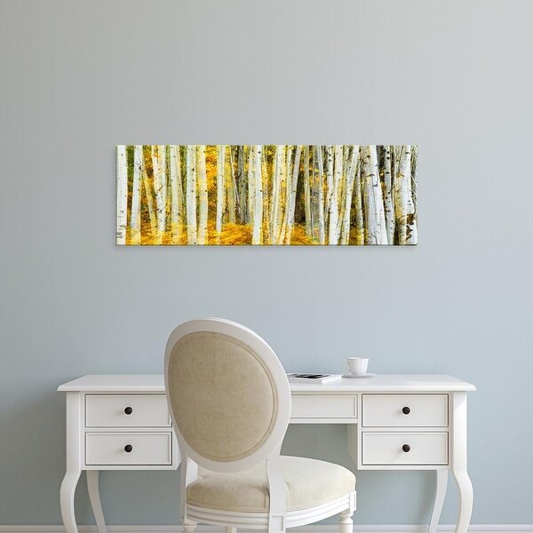 Easy Art Prints Panoramic Images's 'Aspen grove, Phelps Lake, Grand Teton National Park, Wyoming' Canvas Art