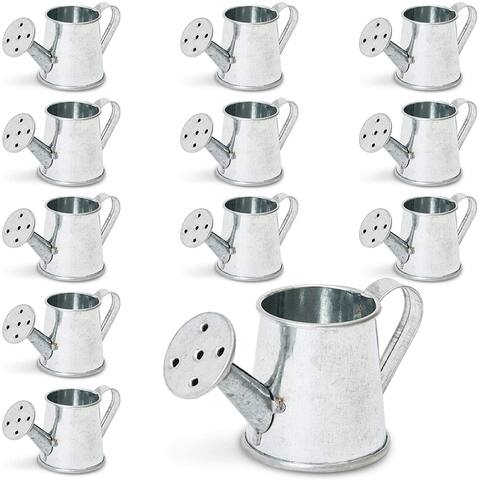 Mini Galvanized Metal Decorative Watering Can (3 x 1.6 x 1.6 In, 12 Pack) - 12 Pack