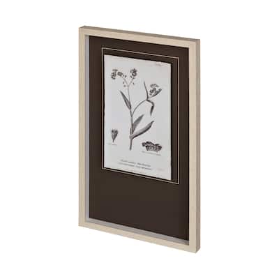 Conversations on Botany I Framed Art Print