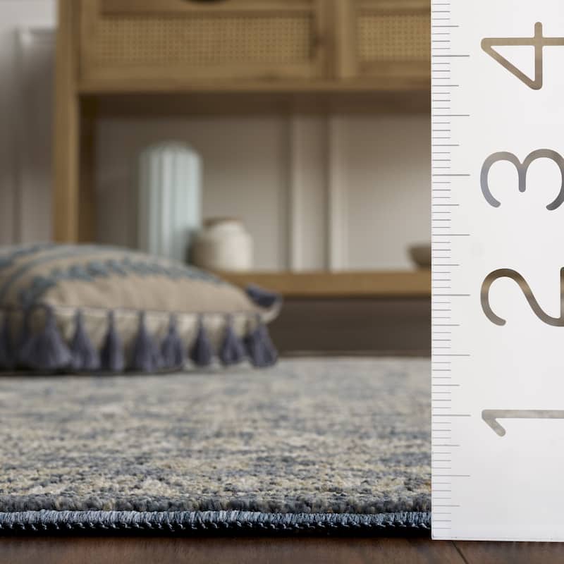 SAFAVIEH Whitney Niosha Bohemian & Eclectic Rug