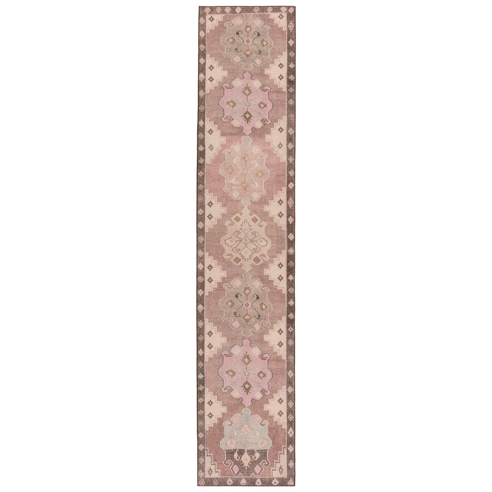 Chilton Medallion Pink/ Brown Area Rug