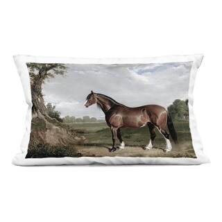 Stupell Majestic Equine Nature Portrait Decorative Printed Throw Pillow Design By Corinne Haig
