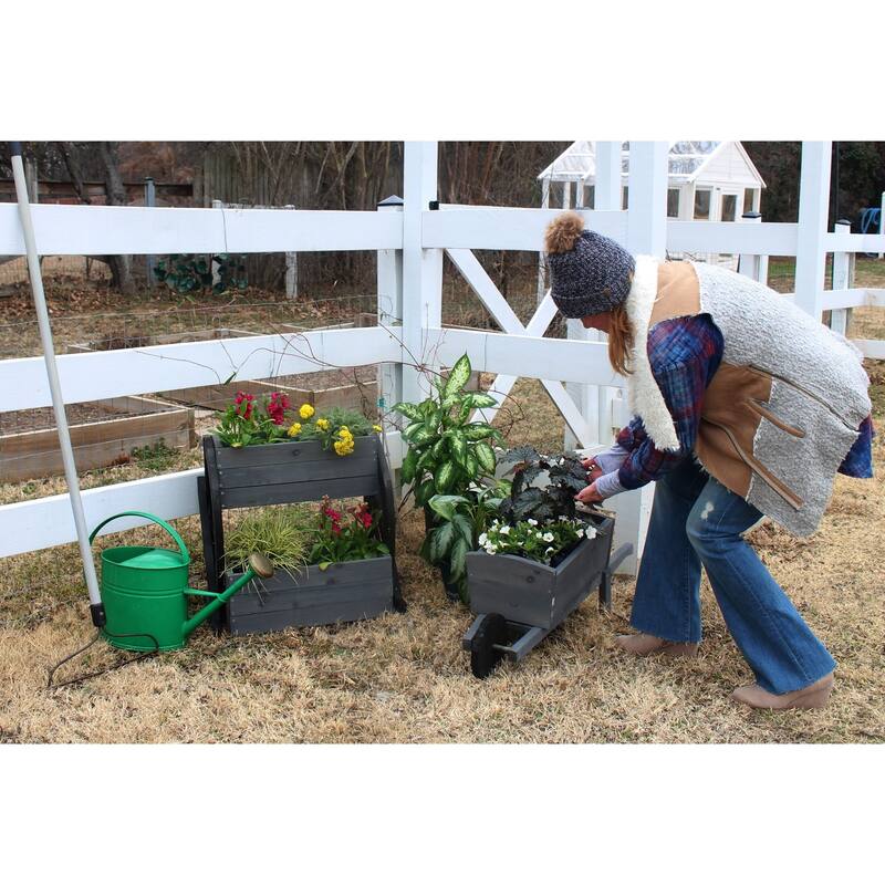 Zylina Wheelbarrow Planter - 30 x 12 x 13