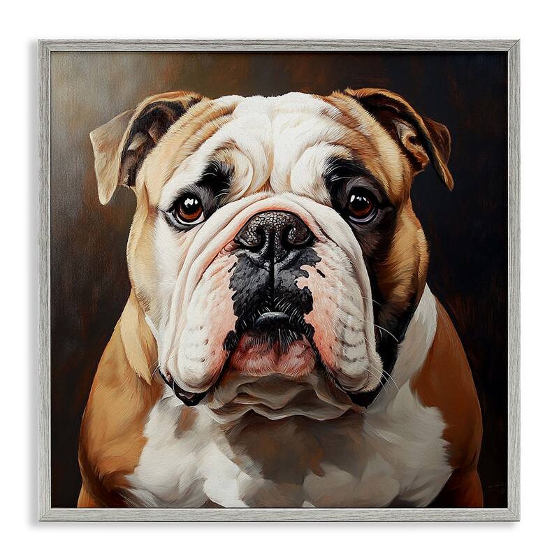 Stupell Stoic Bulldog Portrait Framed Giclee Art Design By Tom Crehan - 12 x 12 - Grey