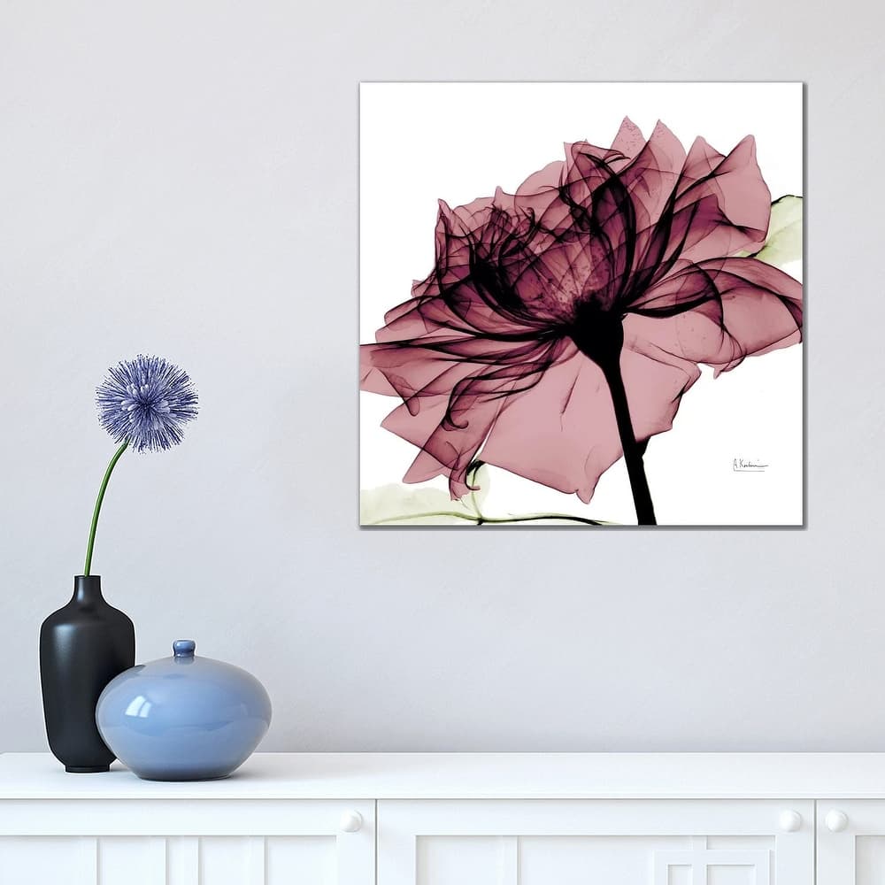 iCanvas "Chianti Rose I" by Albert Koetsier Canvas Print