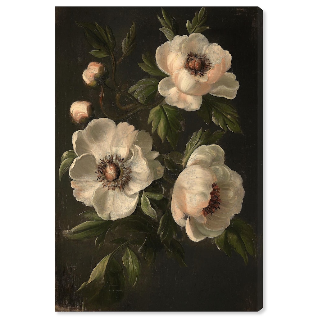 White Peonies in Dark I Canvas by Art Remedy, Gallery Wrapped