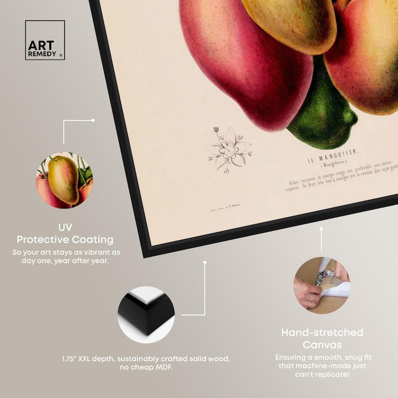 Mangoes by Etienne Denisse Canvas by Art Remedy