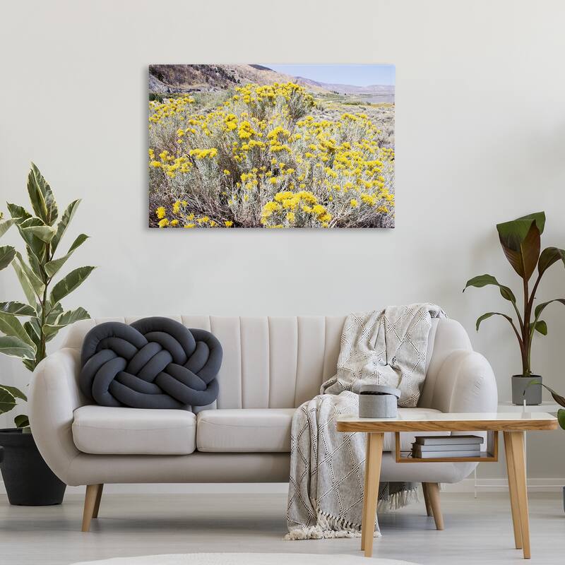 Stupell Yellow Flowers in Arid Meadow Canvas Wall Art Design By Gemma Bardot
