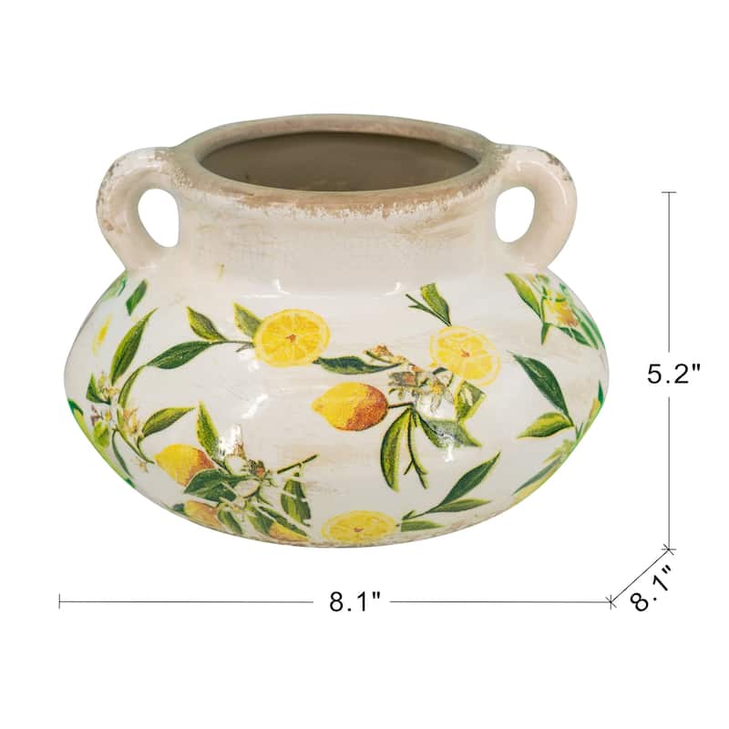 Indoor Round Ceramic Lemon Planter Pot for Succulents, Trailing Plants