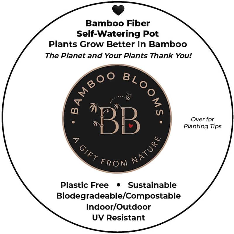 Bamboo Blooms Self-Watering Plant Pot Set of 3 - 5"-7"-10"Round