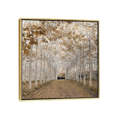 iCanvas "White Gold" by Assaf Frank Framed Canvas Print