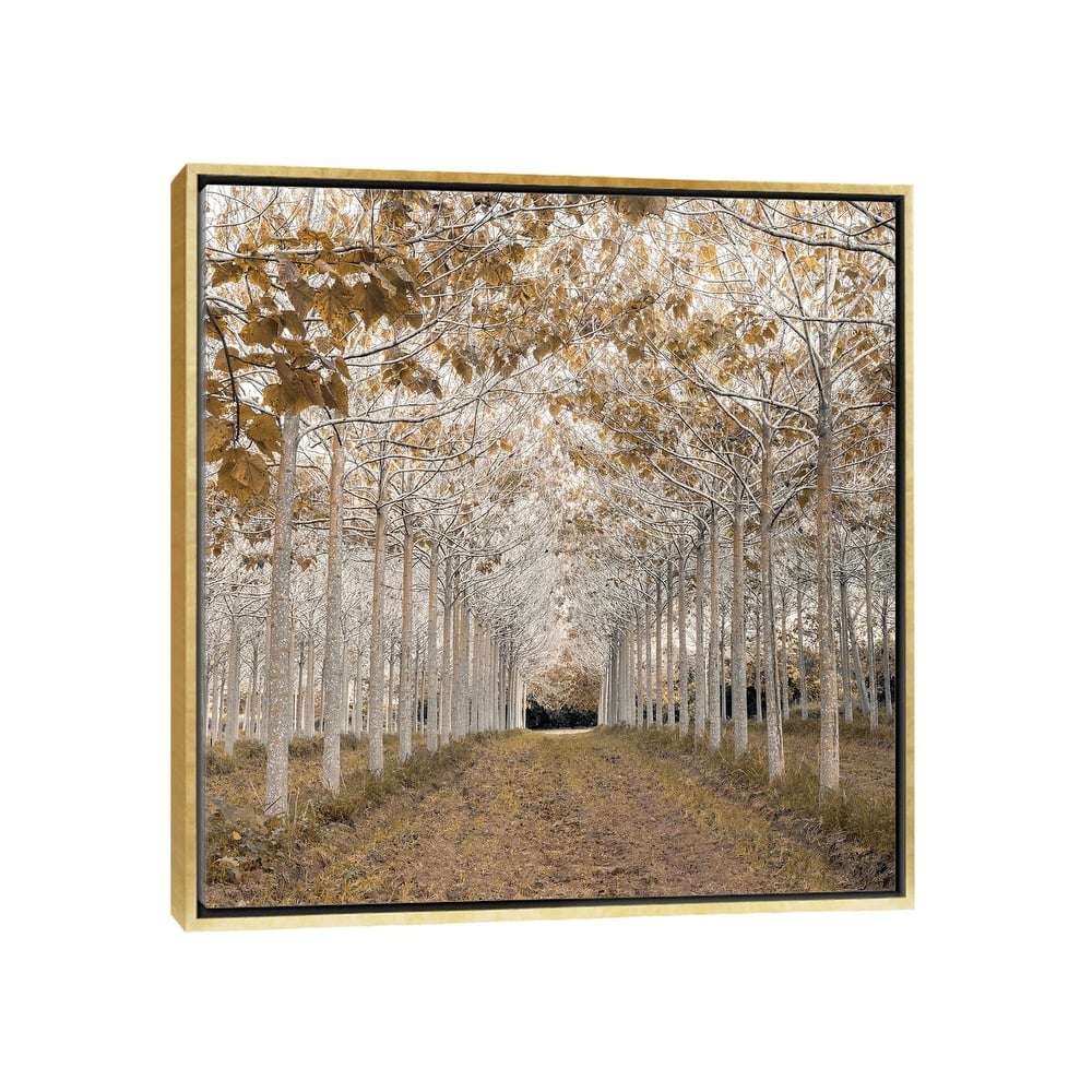 iCanvas "White Gold" by Assaf Frank Framed Canvas Print