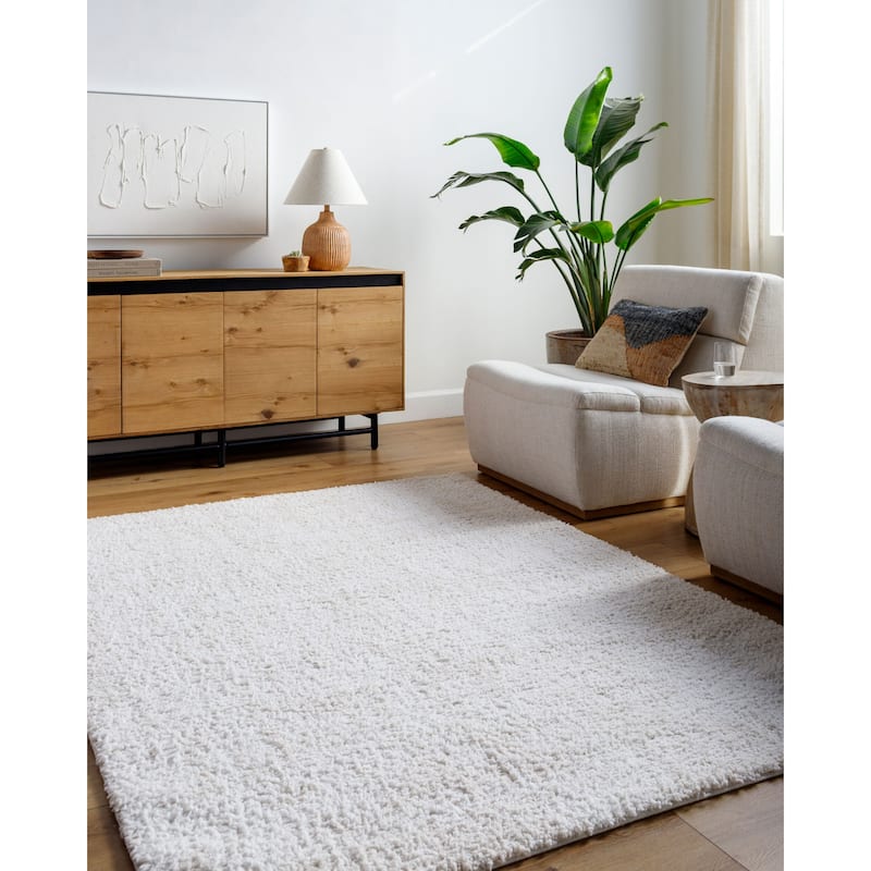 Livabliss Bohemian & Eclectic Sacramento Shag Ombre Area Rug - 5'3" x 7' - Light Beige