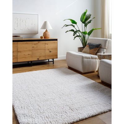 Livabliss Bohemian & Eclectic Sacramento Shag Ombre Area Rug