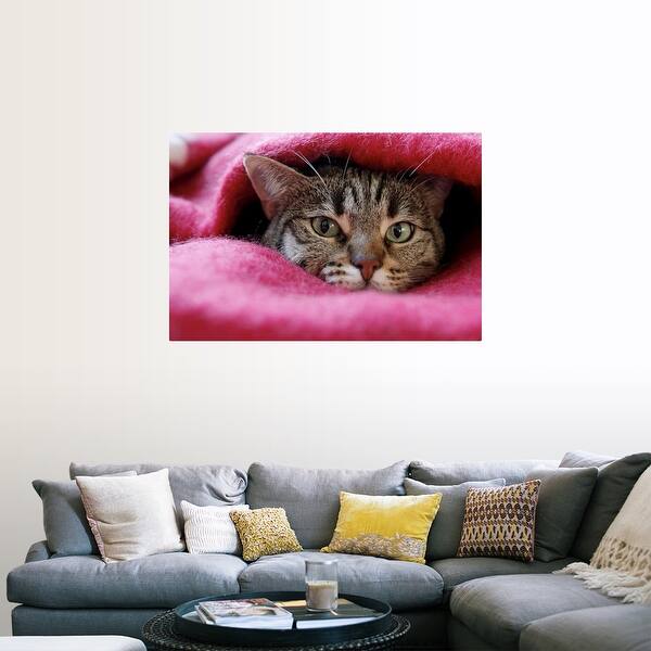 Shop Cat Hidden In Pink Rug Poster Print Free Shipping On