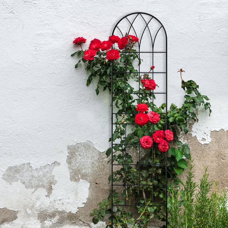 DoCred 4 Pack Garden Climbing Plant Steel Trellis