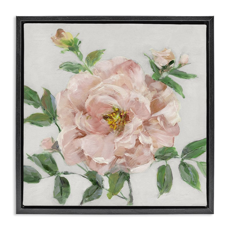 Stupell Pink Carnation Blossom Framed Floater Canvas Wall Art Design By Sally Swatland - 18 x 18 - Black