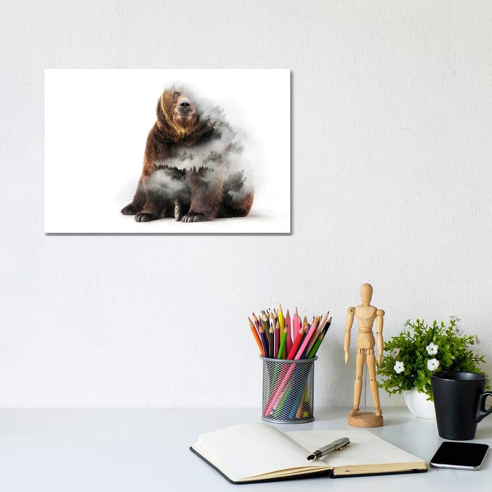iCanvas "Nature Bear" by Paul Haag Canvas Print