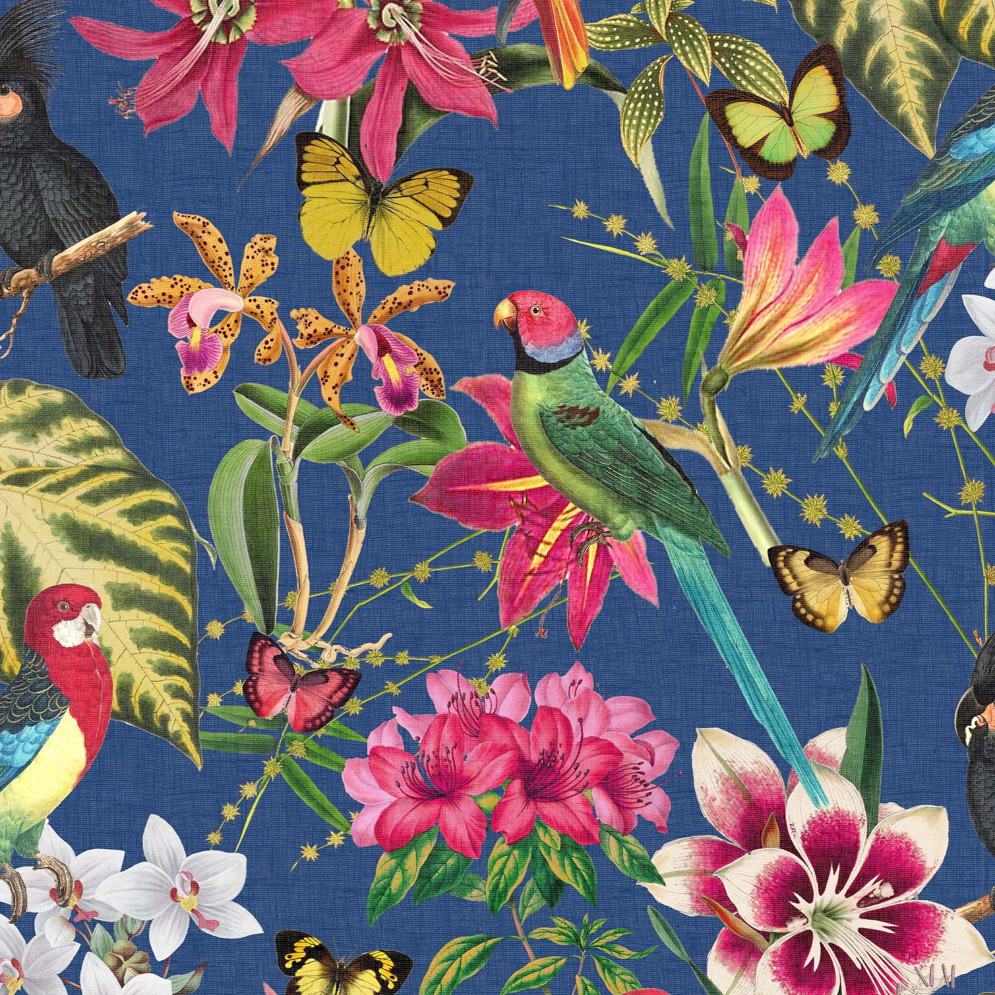 Envy Paradiso Deep Navy Wallpaper