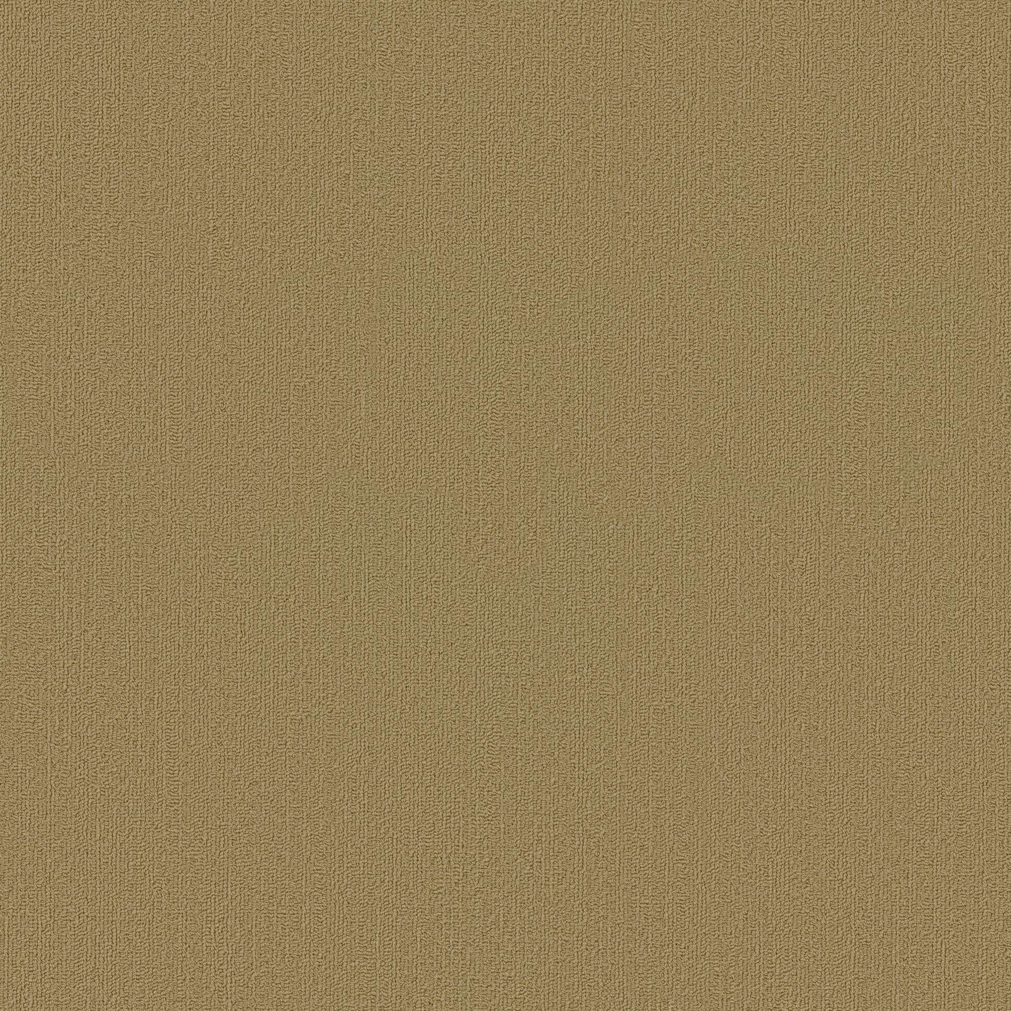 Shaw Philadelphia Commercial Color Accents TL 24" x 24" Glue Down