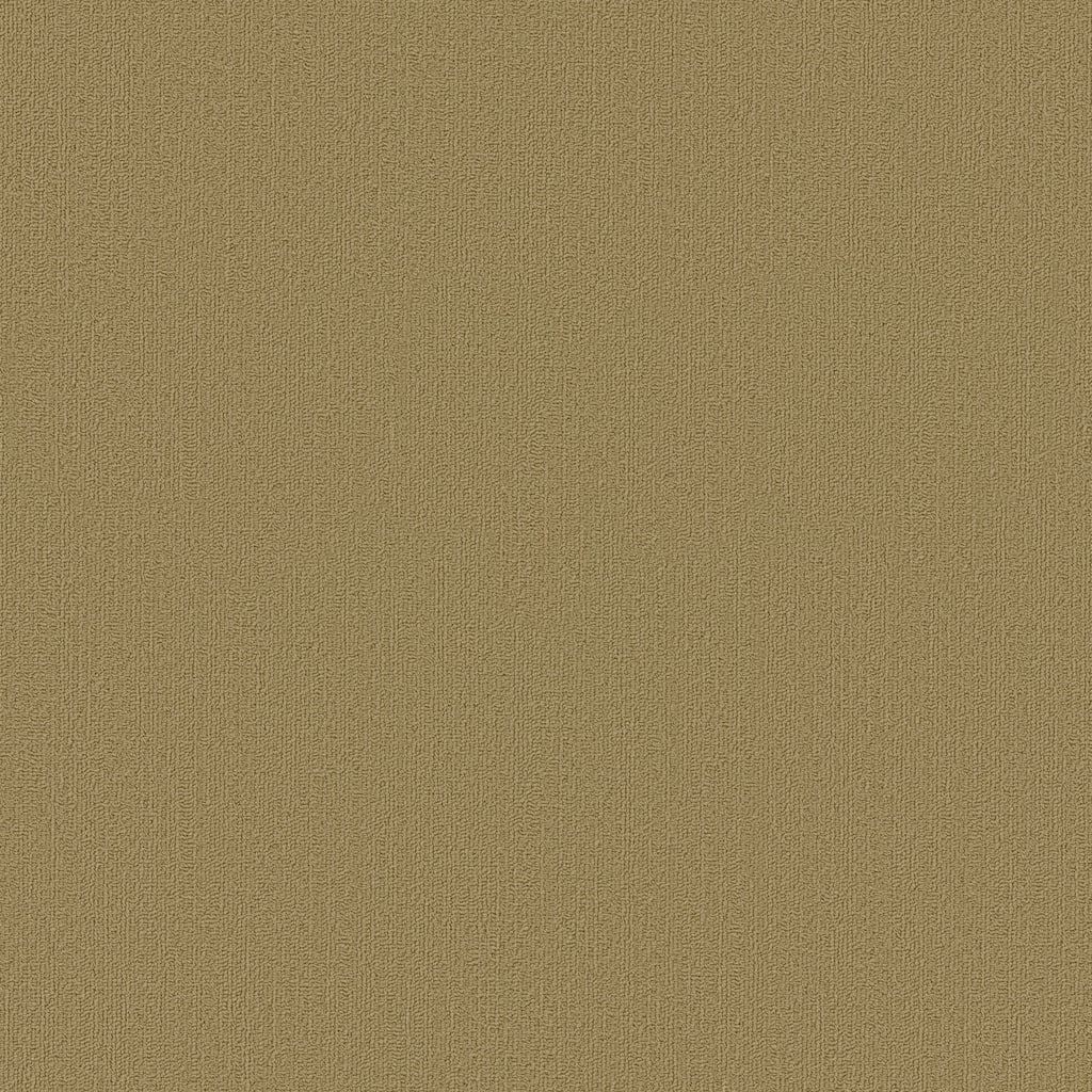 Shaw Philadelphia Commercial Color Accents TL 24" x 24" Glue Down