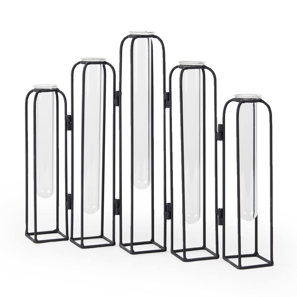 Mila Black Metal Frame w/ 5 Glass Vials Decorative Accent