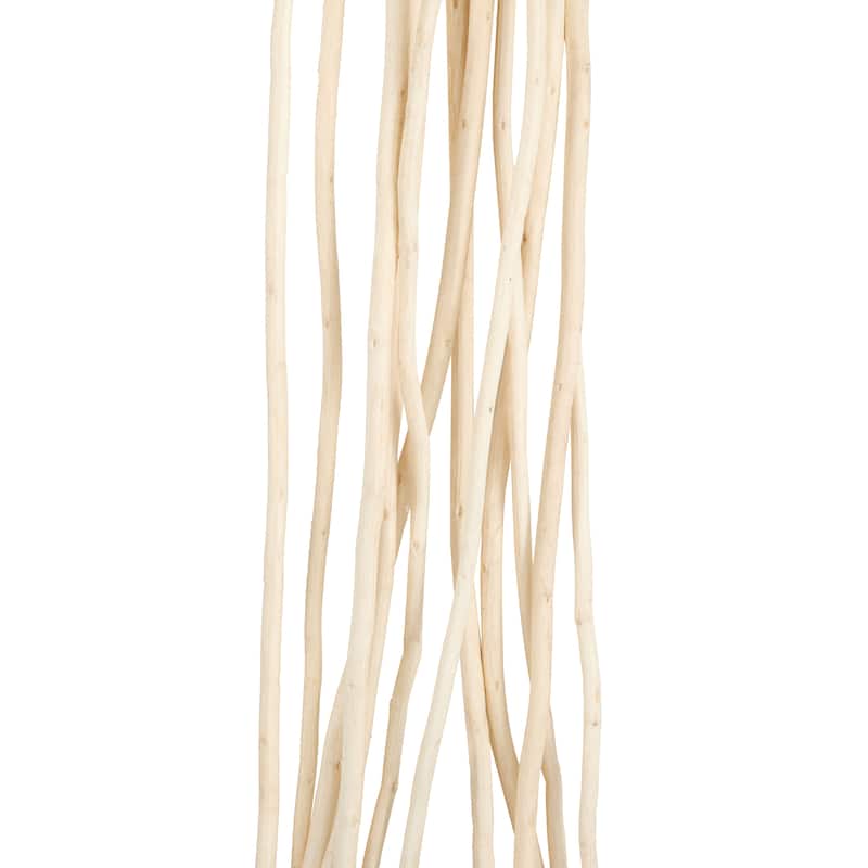 Dried Plant Tall Wavy Stick Home Decor Natural Foliage - Beige - Roche River Decor