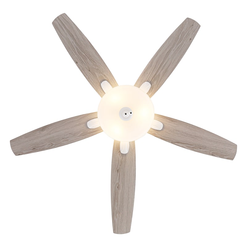 52" Coastal White Frosted Glass Ceiling Fan with Light and Pull Chain - Satin white