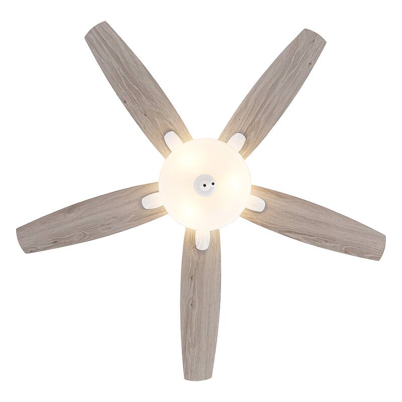 52-inch Coastal White Frosted Glass Ceiling Fan with Light and Pull Chain - Satin white