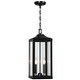 preview thumbnail 7 of 10, 2-Light Black Large Transitional Outdoor Hanging Pendant Light with Clear Glass - 20 in. H