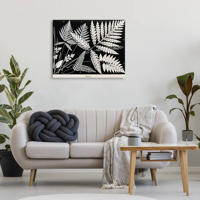 Stupell Overlapping Ferns on Black Canvas Wall Art Design By Phillipa Katz