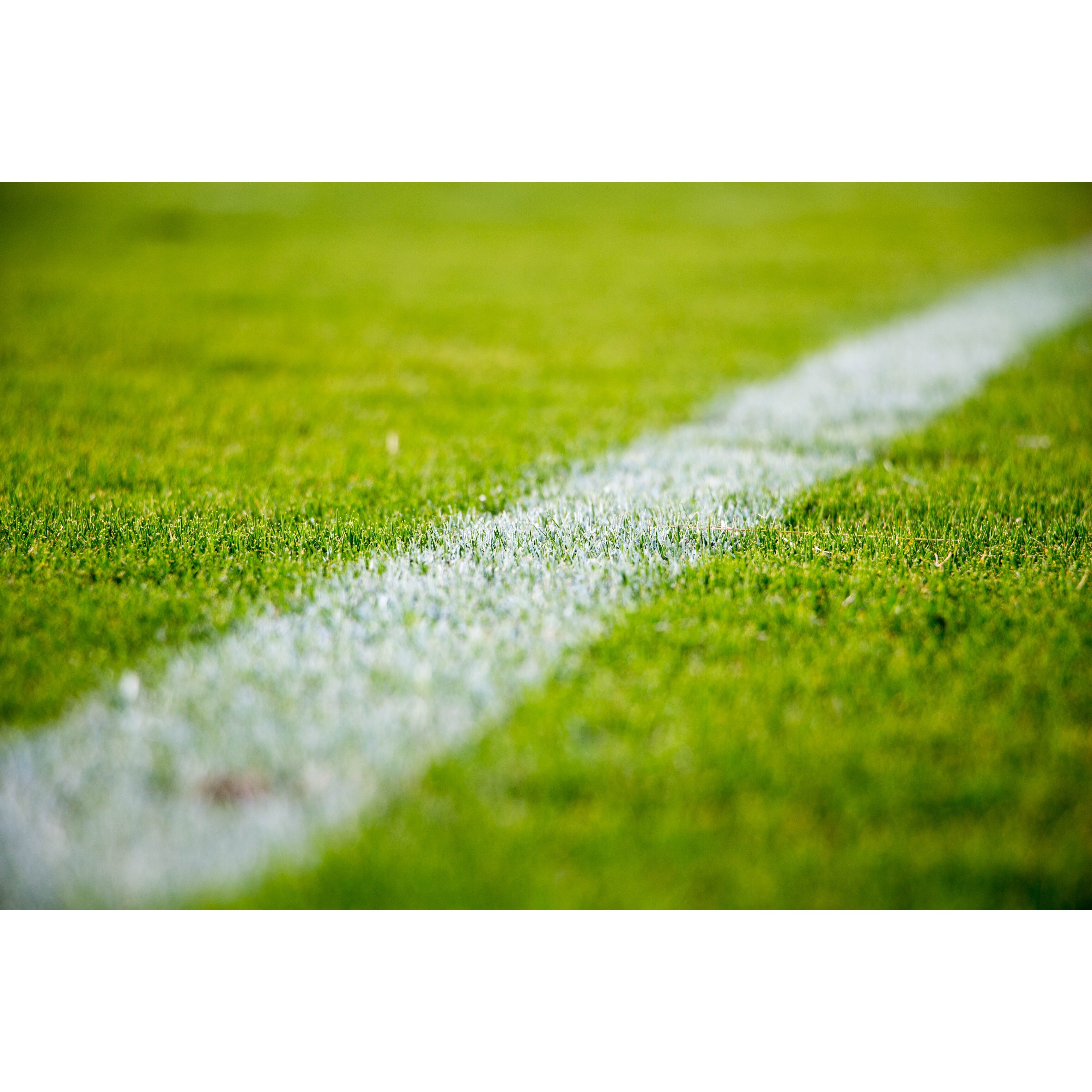 Shop Football Field Line Photograph Wall Art Canvas On Sale