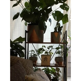 Baxton Studio New Semester Industrial Vintage Bookshelf