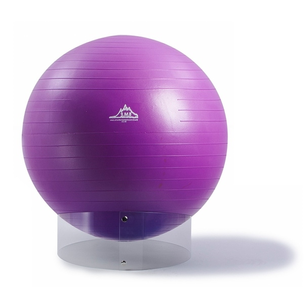 exercise ball holder
