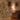 National Tree Company 6.5 ft. Jersey Fraser Fir Medium Tree with Clear Lights - 6.5 Foot