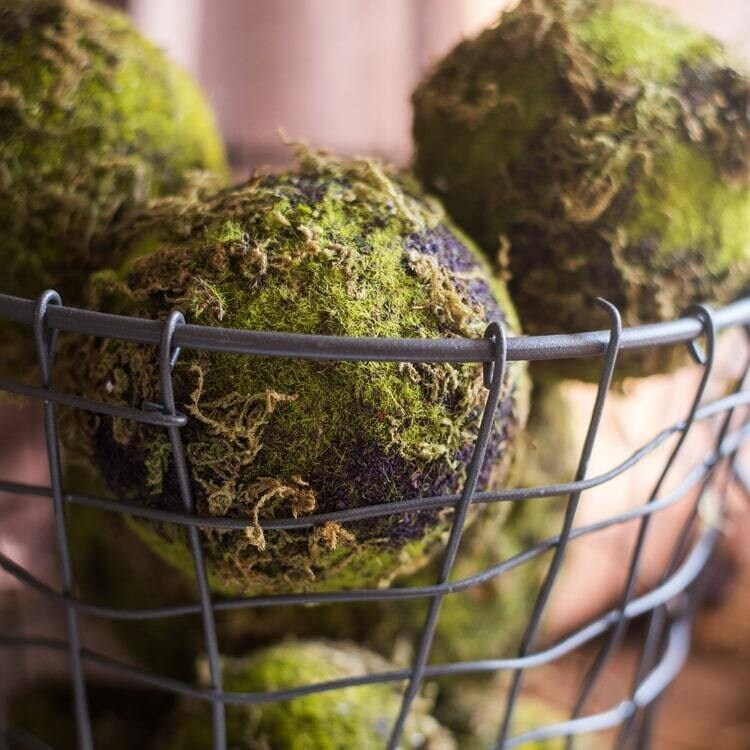 RusticReach Decorative Moss Ball - Bed Bath & Beyond - 28992442