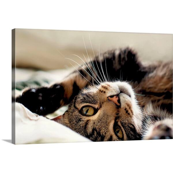Shop Close Up Of Tabby Cat Rolling On Its Back Canvas Wall Art