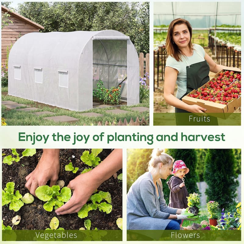 Walk-in Tunnel Greenhouse