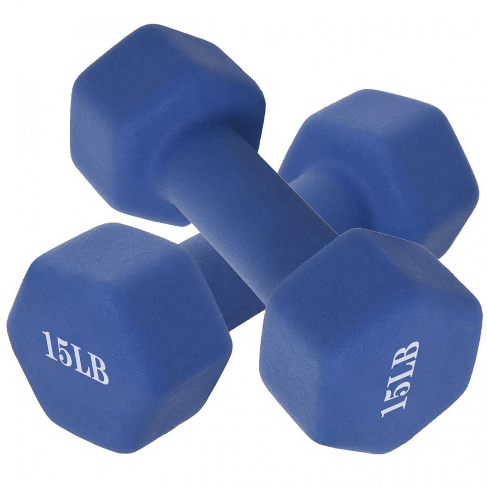 15 pound barbell 2025