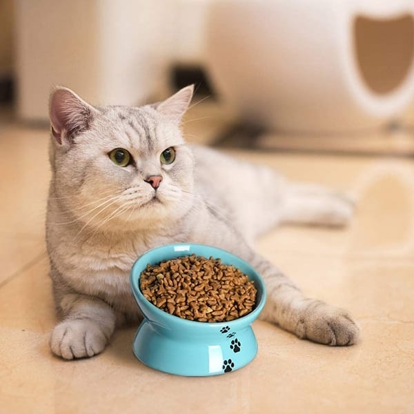best buy cat litter box Luma Smart Litter Box
