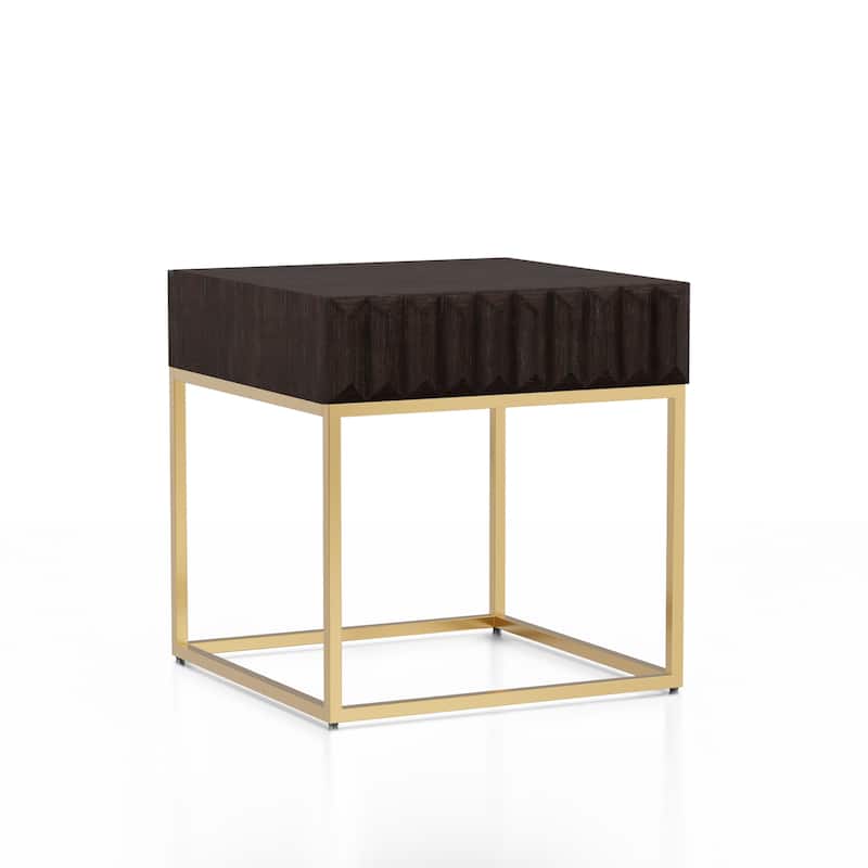 Bird Contemporary Steel 1-Drawer Accent Table by Furniture of America