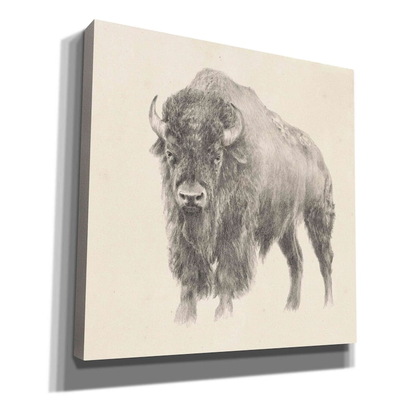 Epic Graffiti 'Western Bison Study' by Ethan Harper, Canvas Wall Art