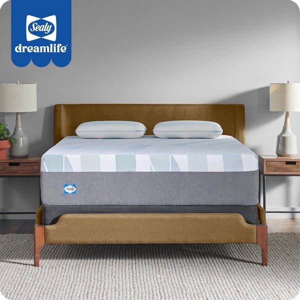 slide 2 of 25, Sealy Dreamlife 14" Foam Mattress-in-a-Box