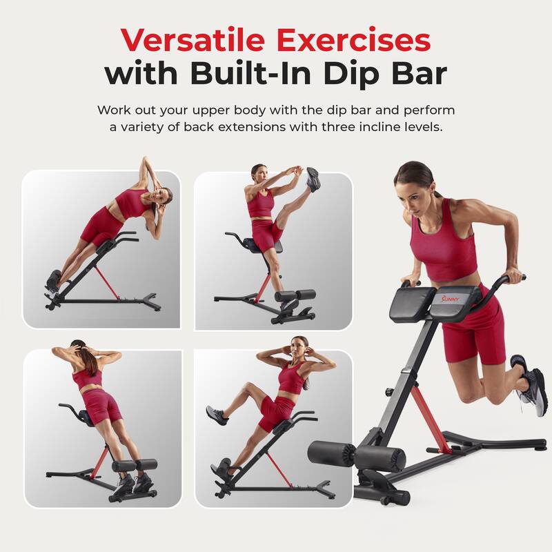 Sunny Health Fitness Roman Chair with Dip Station