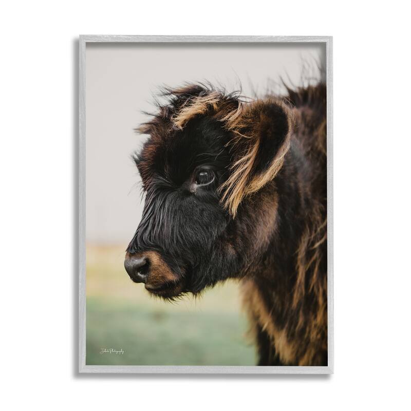 Stupell Baby Cow Photography Framed Giclee Art Design by Dakota Diener - 11 x 14 - Grey