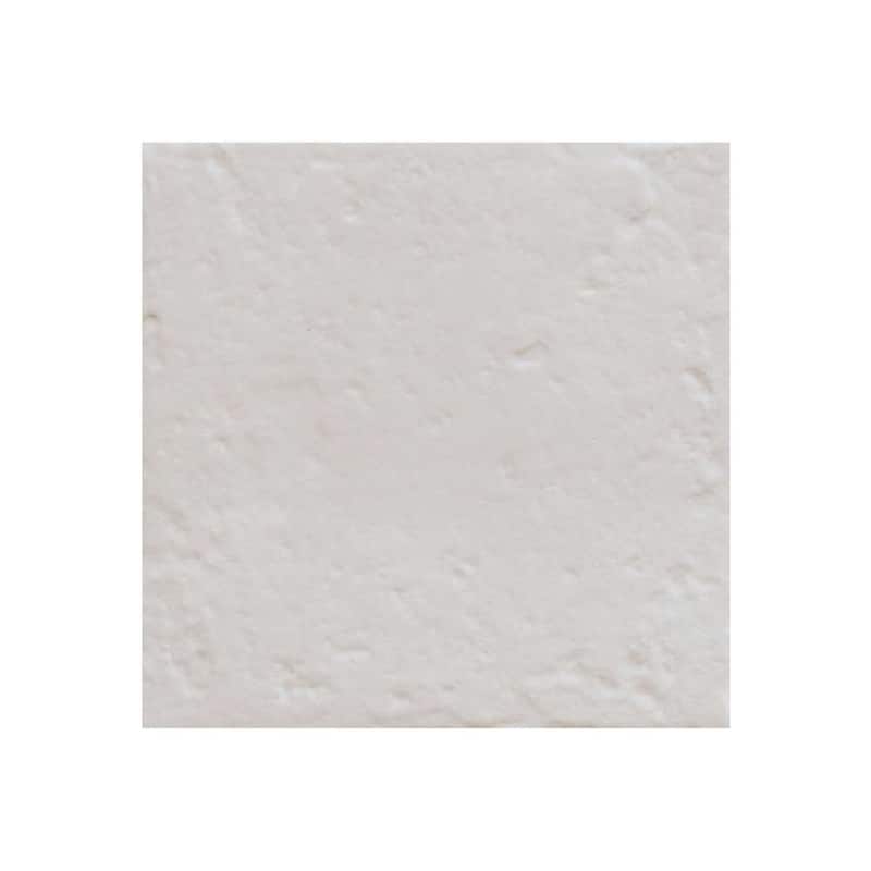 Verity Seas 8x8 Matte Porcelain Encaustic Tile - Floor, Wall, Backsplash