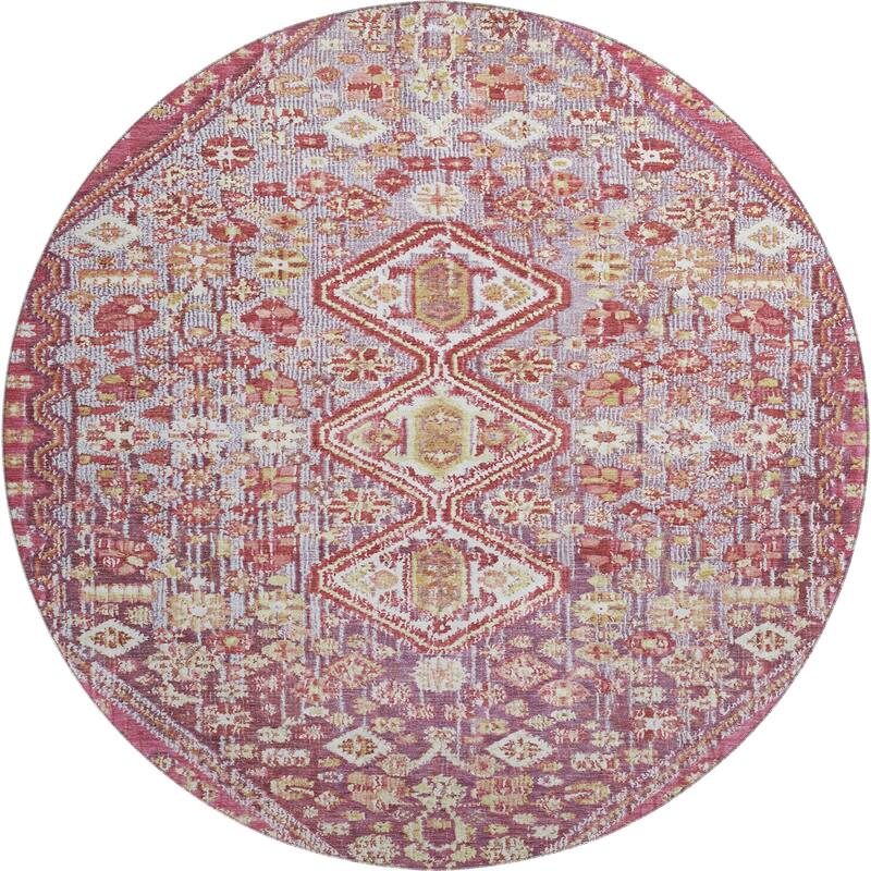Premium Washable Super Soft Traditional Global Mayfield Rug