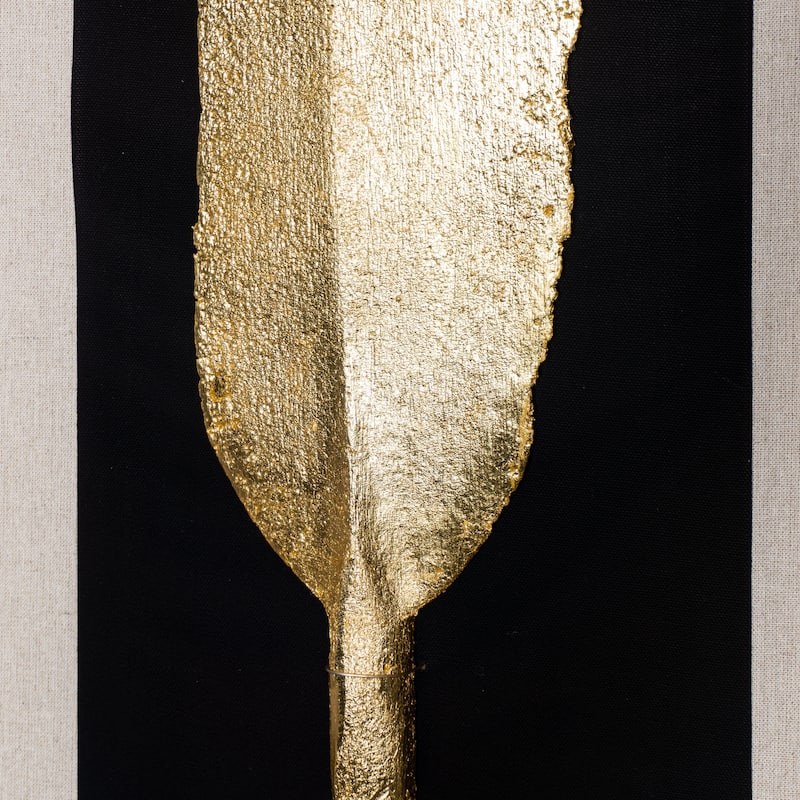 HUJI Golden Paddle Shadow Box Wall Décor Set