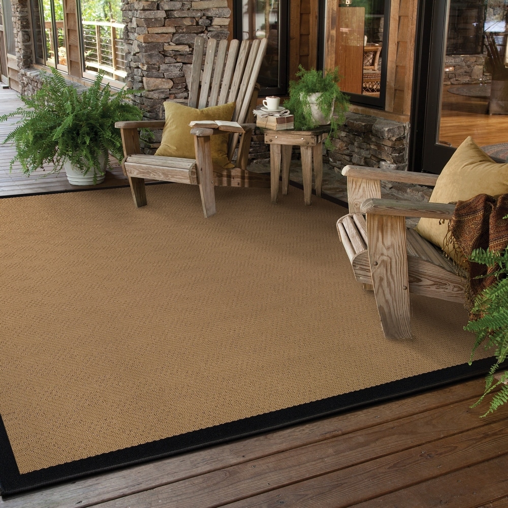 https://ak1.ostkcdn.com/images/products/is/images/direct/88aff17fdd148a51817df3b2428f3f2bf8aec1cc/Carbon-Loft-Addis-Borders-Indoor--Outdoor-Area-Rug.jpg